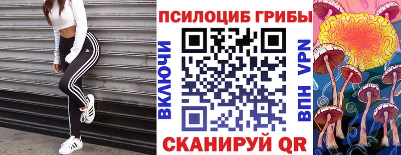Псилоцибиновые грибы мицелий  где продают наркотики  shop клад  Нижний Тагил 